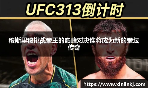 穆斯里穆挑战拳王的巅峰对决谁将成为新的拳坛传奇